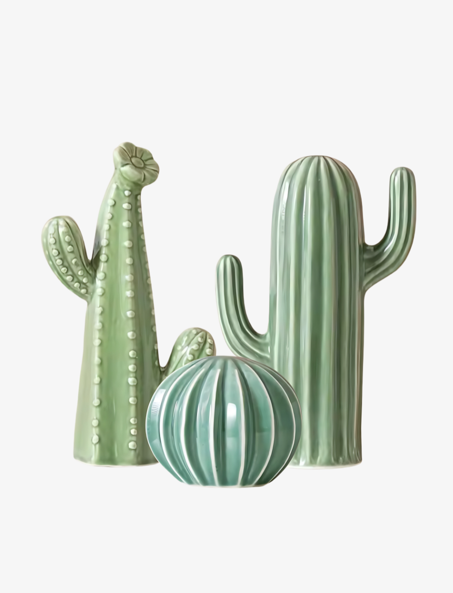 CACTUS DECOR